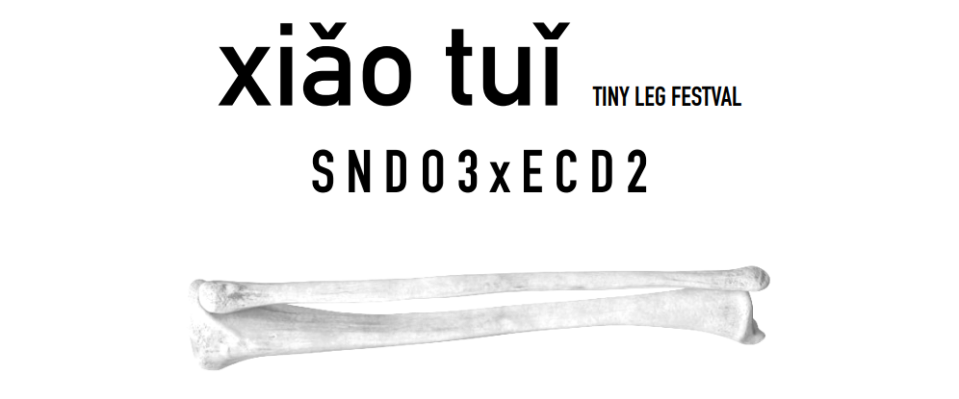 SNDOxECD tiny leg festival